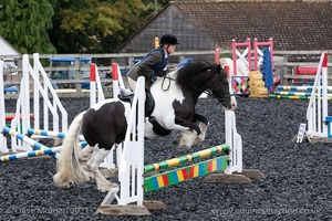 Class 2 -  Fences not above 2'